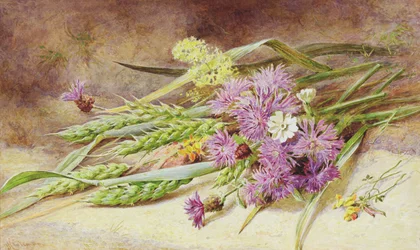 Grönt vete och vilda blommor